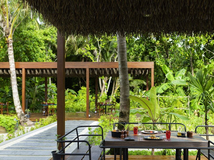 铂尔曼 Pullman Maldives Maamutaa Resort,dining时间( 18:30-22:00 )美食攻略 素食餐厅--Phat Chameleon ,方便大家选岛(海岸线假期一级代理提供),海岛马尔代夫maldives