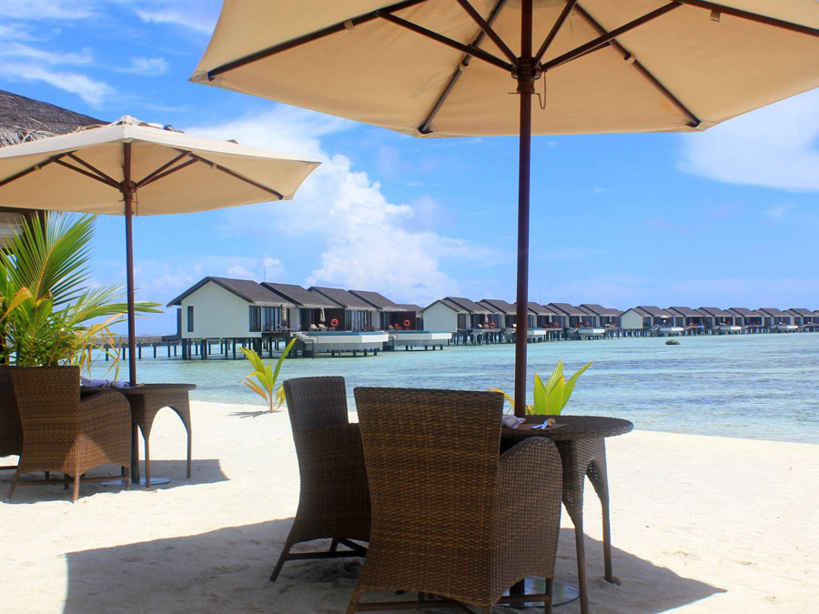 主餐厅--The Dining Room dining美食的图片集( 国际美食 ),印度洋三大明珠马尔代夫,瑞喜敦法鲁马富士岛 The Residence Maldives Falhumaafushi