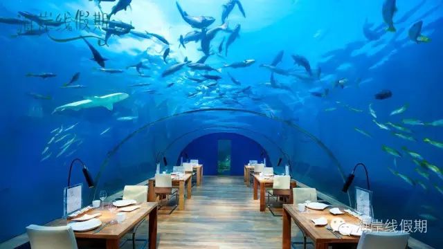 fullsize maldives攻略, 【选岛无忧】马尔代夫有一百多个岛,怎么选?手把手教学去马尔代夫如何选岛 -马尔代夫攻略-一级代理-海岸线假期官网