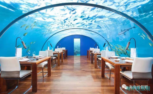 美到想结婚：马尔代夫五大海底餐厅大盘点—附价格表,马尔代夫游记，海岸线假期