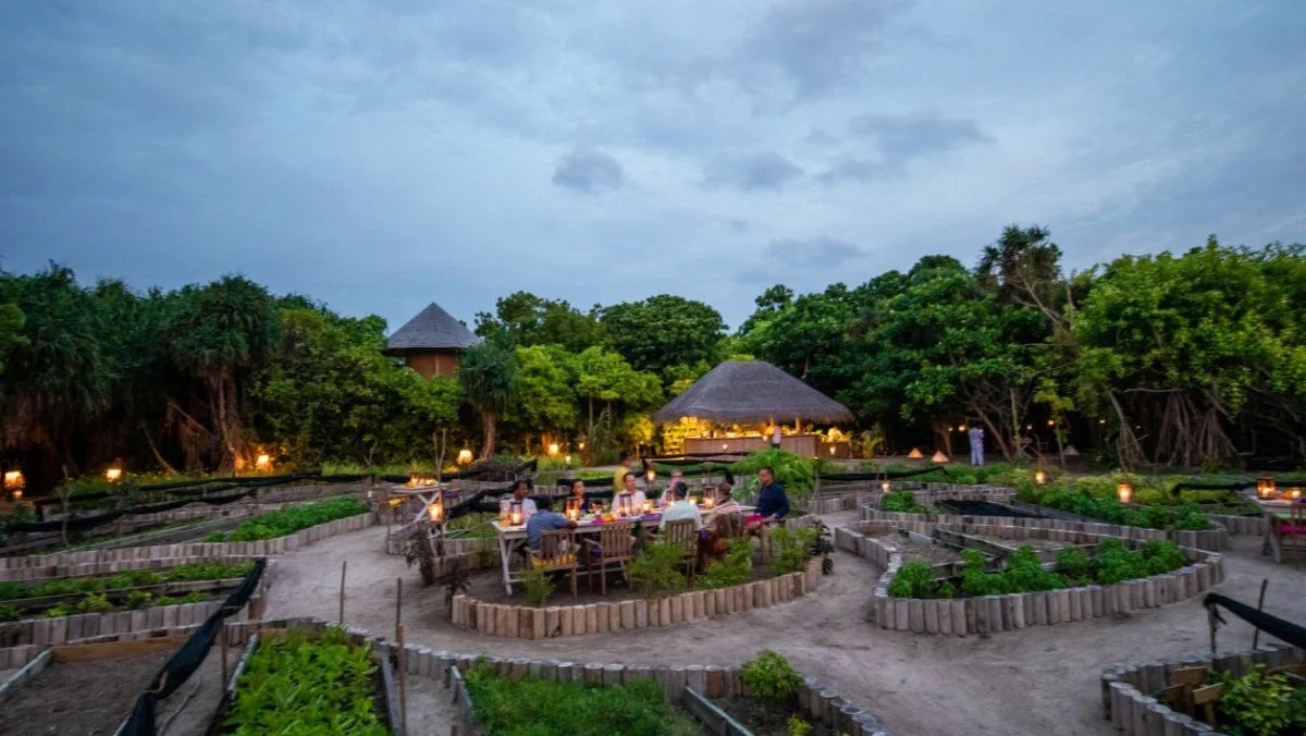 索尼娃贾尼岛 Soneva Jani,dining时间( 全天 )美食攻略 来自Diana的疯狂食物之旅--So Wild By Diana Von Cranach ，方便大家选岛（海岸线假期一级代理提供），海岛马尔代夫maldives