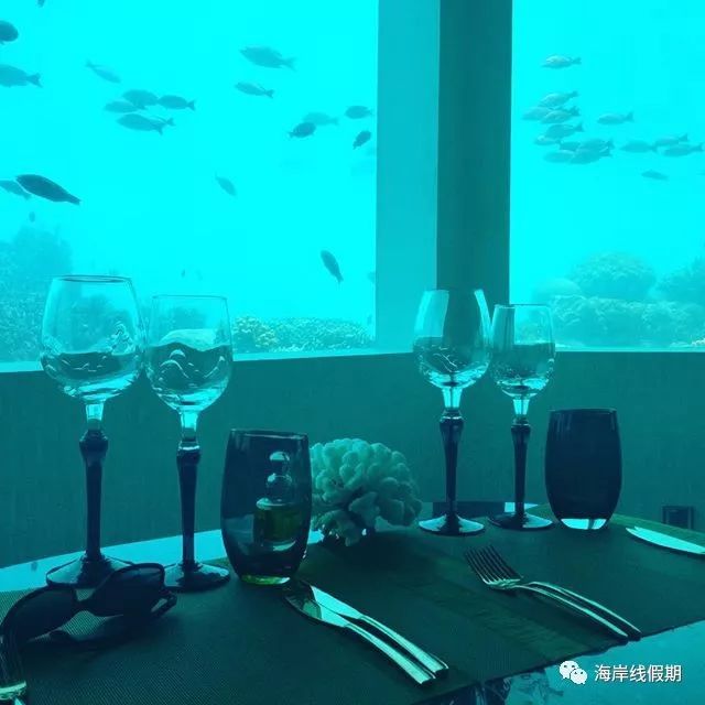 maldives攻略,  美到想结婚:马尔代夫五大海底餐厅大盘点—附价格表 -马尔代夫攻略-一级代理-海岸线假期官网