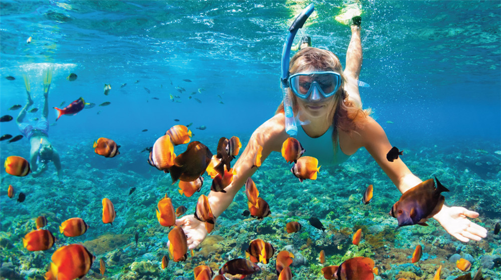 薇莉富士岛|希拉蒙 Cinnamon Velifushi Maldives, 娱乐活动(海岛maldives)介绍,网球及高尔夫