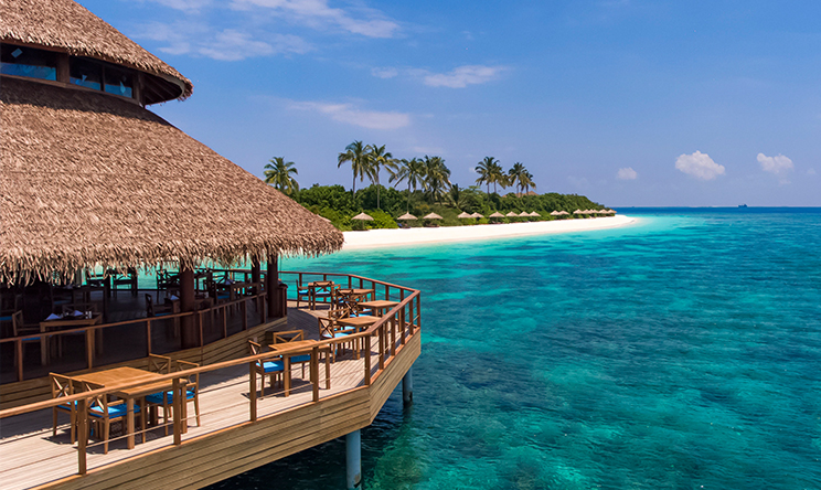 Dhiyavaru（印度餐厅） dining美食的图片集（ 印度菜、 披萨、 海鲜、 牛排、 国际风味 ），印度洋三大明珠马尔代夫,瑞提法鲁岛 Reethi Faru Resort