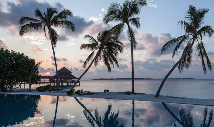 瑞提法鲁岛 Reethi Faru Resort,dining时间(  )美食攻略 Veyo Bar（酒吧） ，方便大家选岛（海岸线假期一级代理提供），海岛马尔代夫maldives