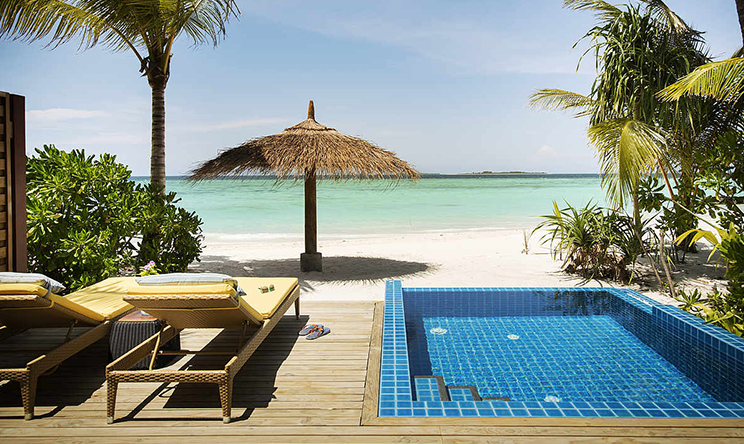 Beach Bungalow beach pool-泳池沙滩房 房型图片及房间装修风格(新鲁滨逊诺鲁岛|努努岛 Robinson Club Noonu)海岛马尔代夫