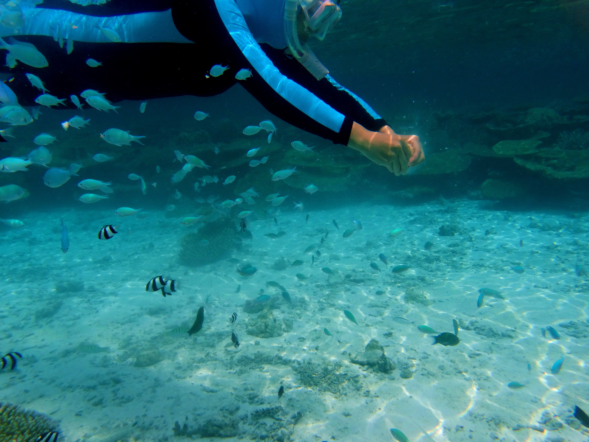 钻石阿莎格岛 Diamonds Athuruga, 娱乐活动（海岛maldives）介绍,网球及高尔夫