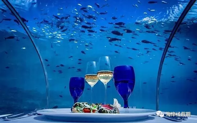 maldives攻略,  马尔代夫打开方式—在马代怎么玩|娱乐、水上活动、运动、刺激 -马尔代夫攻略-一级代理-海岸线假期官网