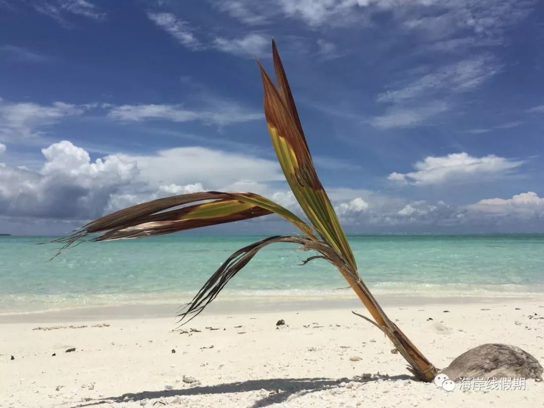 maldives攻略, 马尔代夫哪些岛屿有无人岛? 无人沙洲?哪些岛屿可以双岛游? |双岛|跳岛|无人岛 -马尔代夫攻略-一级代理-海岸线假期官网