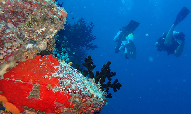 鹦鹉螺岛 The Nautilus Maldives, 娱乐活动(海岛maldives)介绍,网球及高尔夫