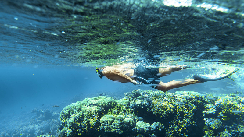 娱乐活动(马尔代夫)介绍,新鲁滨逊诺鲁岛|努努岛 Robinson Club Noonu,儿童乐园&结婚照&浮潜&健身房