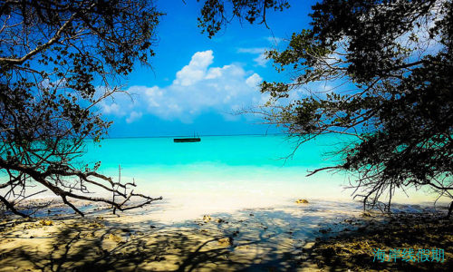 马尔代夫费尔蒙斯斯茹芬富士Fairmont Maldives Sirru Fen Fushi游记,马尔代夫游记，海岸线假期