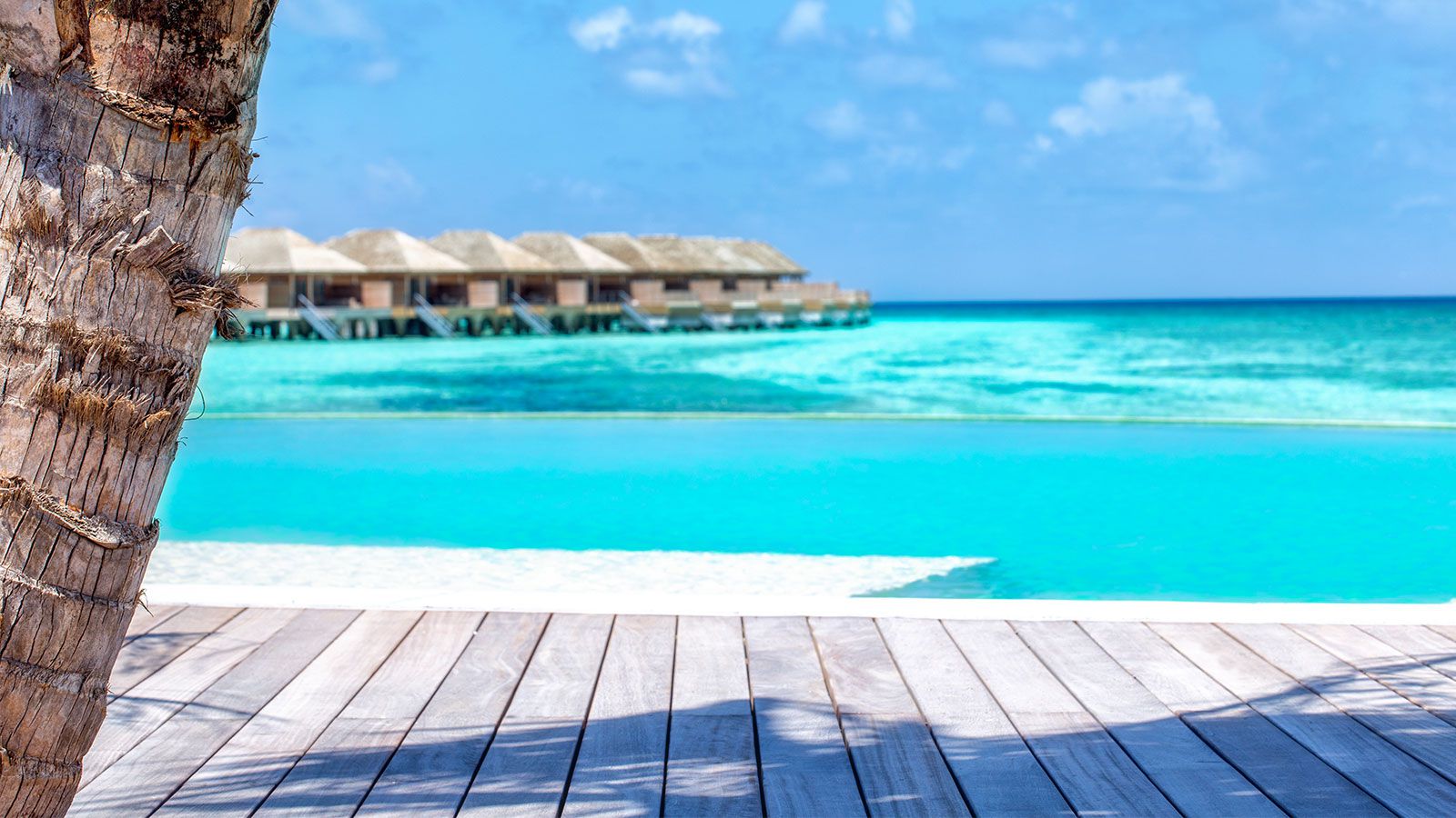 芙拉瓦丽岛 Hurawalhi Maldives,dining时间( 点餐 )美食攻略 CoCo Bar（池畔酒吧） ，方便大家选岛（海岸线假期一级代理提供），海岛马尔代夫maldives