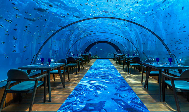 5.8 Undersea（5.8米水下餐厅） dining美食的图片集（ 国际，海鲜 ），印度洋三大明珠马尔代夫,库达度私人岛 Kudadoo Maldives