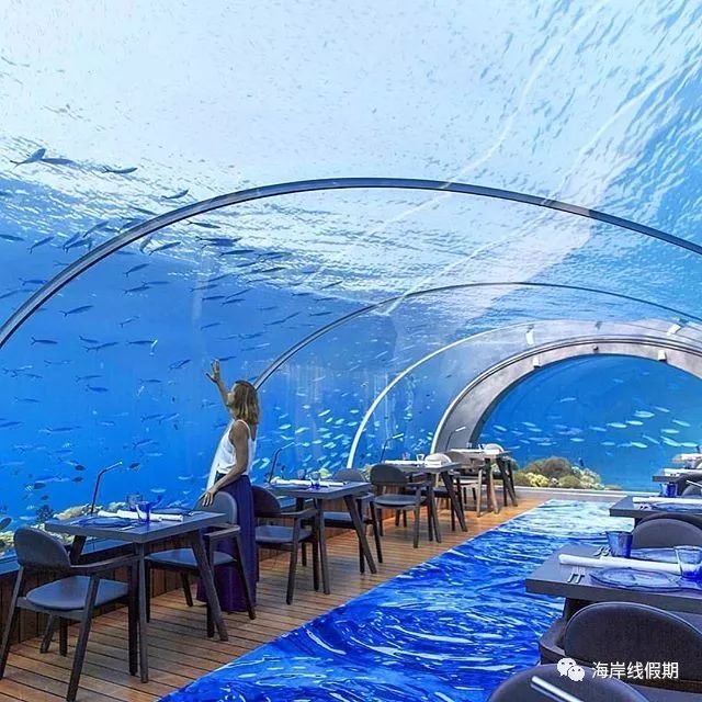 maldives攻略,  美到想结婚:马尔代夫五大海底餐厅大盘点—附价格表 -马尔代夫攻略-一级代理-海岸线假期官网