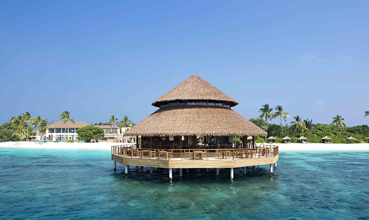 瑞提法鲁岛 Reethi Faru Resort,dining时间(  )美食攻略 Dhiyavaru（印度餐厅） ，方便大家选岛（海岸线假期一级代理提供），海岛马尔代夫maldives