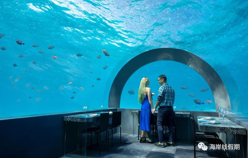 maldives攻略,  美到想结婚:马尔代夫五大海底餐厅大盘点—附价格表 -马尔代夫攻略-一级代理-海岸线假期官网
