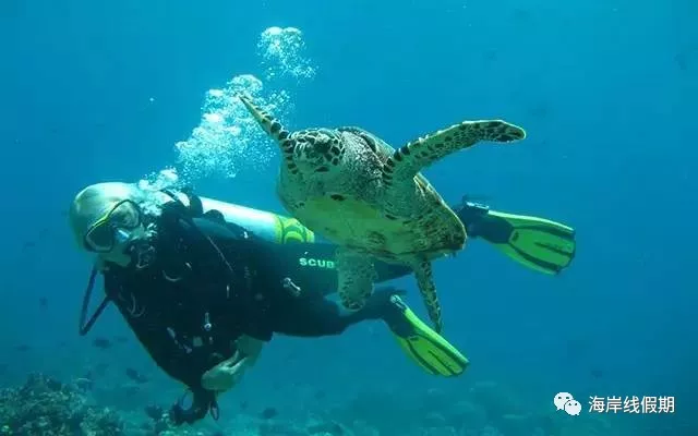 maldives攻略,  马尔代夫打开方式—在马代怎么玩|娱乐、水上活动、运动、刺激 -马尔代夫攻略-一级代理-海岸线假期官网