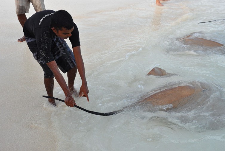 娱乐活动(马尔代夫)介绍,迪格瑞岛 Dhiggiri Tourist Resort,儿童乐园&结婚照&浮潜&健身房
