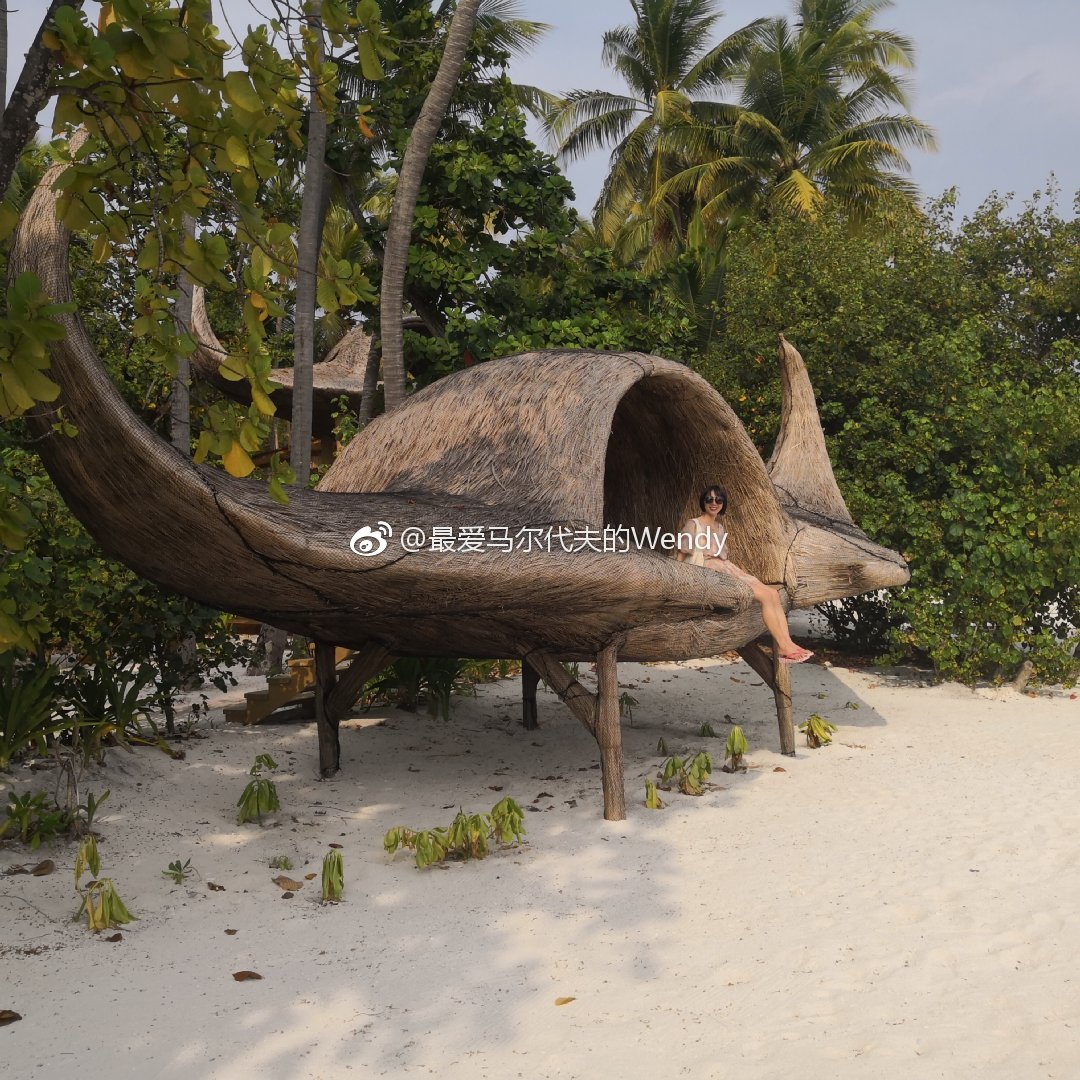 maldives攻略, 马尔代夫瑞吉和娇丽,你更喜欢哪个? -马尔代夫攻略-一级代理-海岸线假期官网