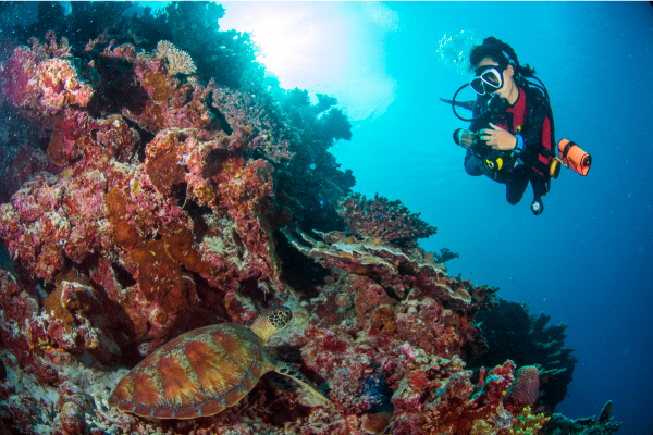 娱乐活动（马尔代夫）介绍，翡翠法鲁富士岛 Emerald Faarufushi Resort and Spa,儿童乐园&结婚照&浮潜&健身房