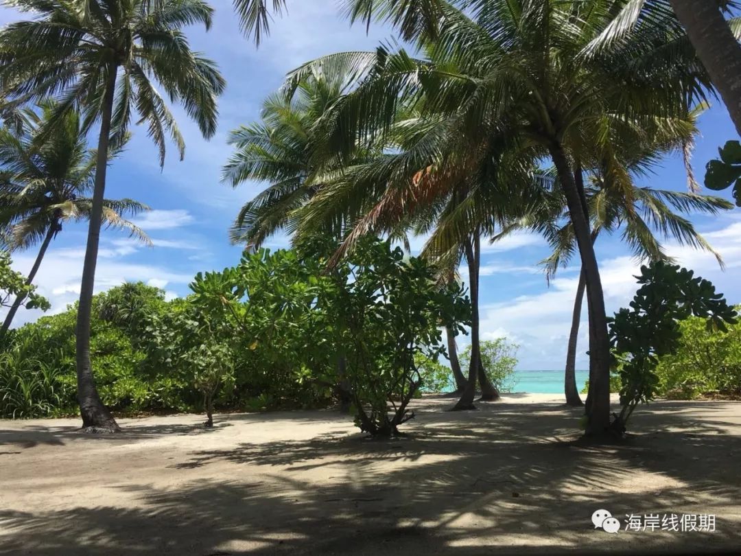 maldives攻略, 马尔代夫哪些岛屿有无人岛? 无人沙洲?哪些岛屿可以双岛游? |双岛|跳岛|无人岛 -马尔代夫攻略-一级代理-海岸线假期官网