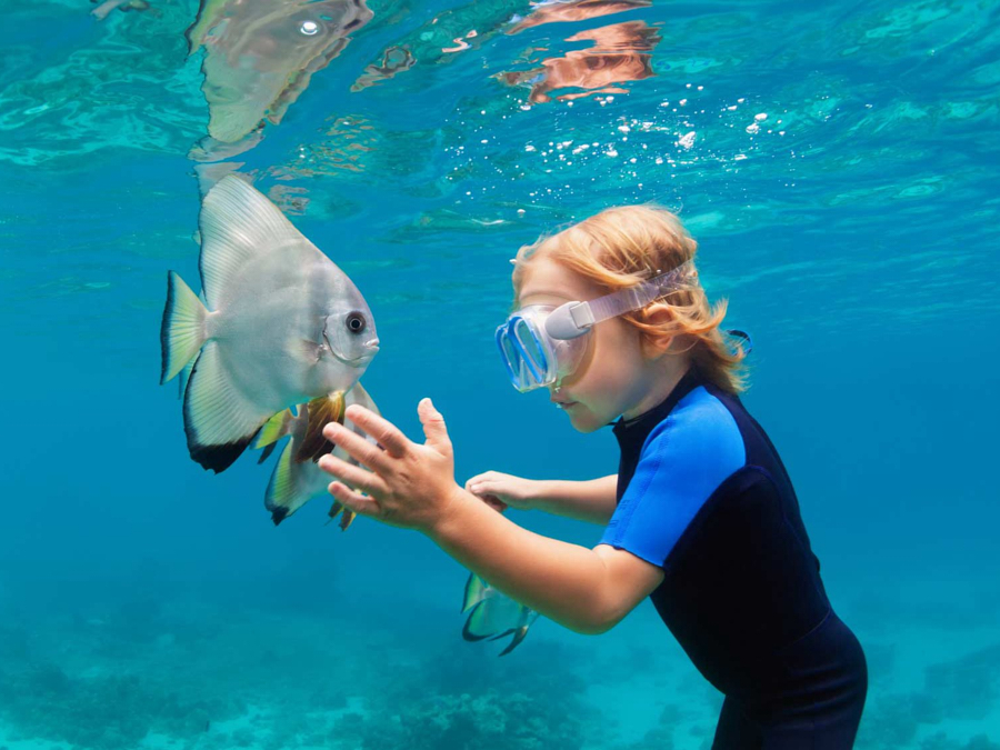 翡翠法鲁富士岛 Emerald Faarufushi Resort and Spa, 娱乐活动(海岛maldives)介绍,网球及高尔夫