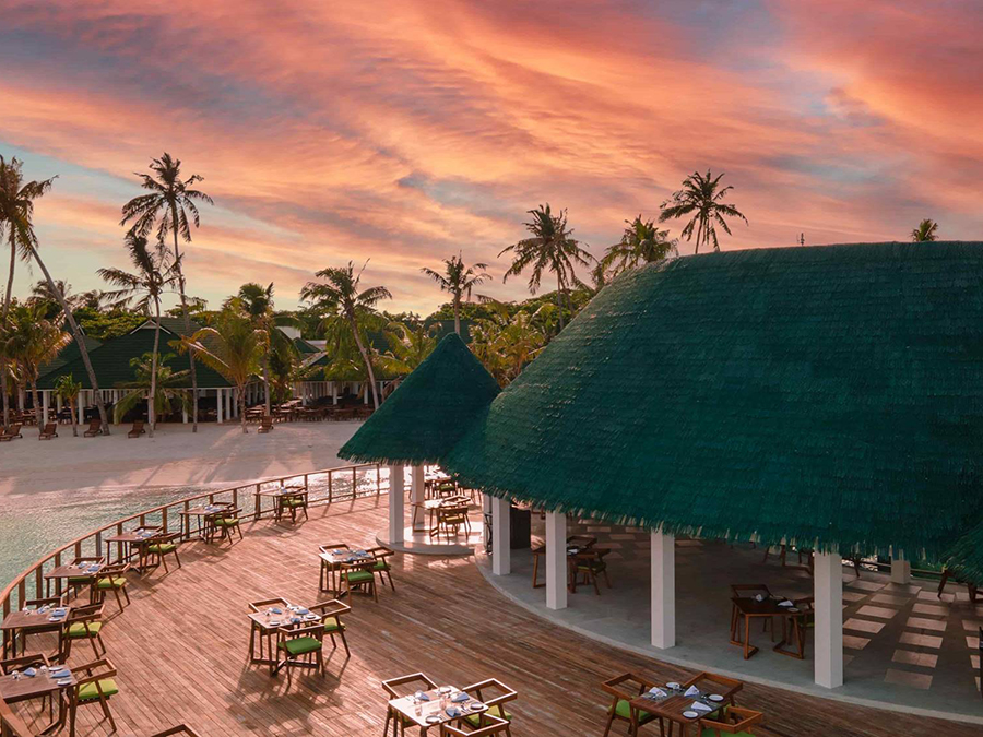 禧亚世嘉岛 Siyam World Maldives,dining时间( 18:30-22:00(周五关闭) )美食攻略 印度餐厅--Kurry Leaf ,方便大家选岛(海岸线假期一级代理提供),海岛马尔代夫maldives