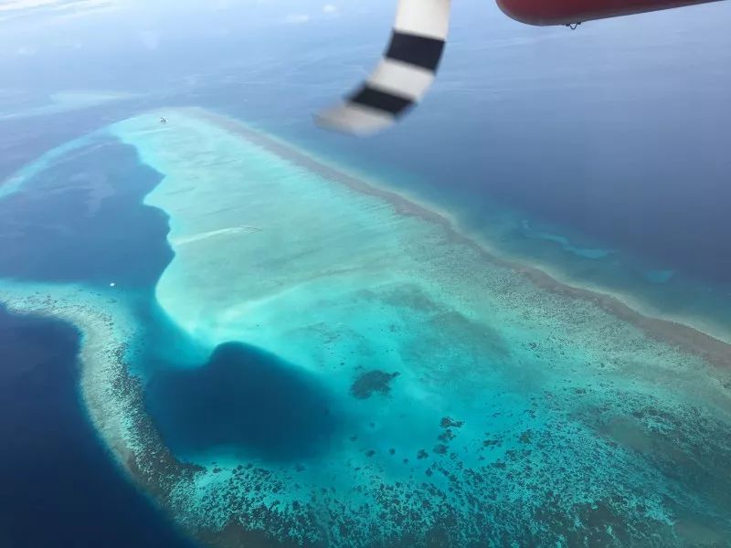 maldives攻略,  【选岛无忧】马尔代夫有一百多个岛，怎么选？手把手教学去马尔代夫如何选岛 -马尔代夫攻略-一级代理-海岸线假期官网 